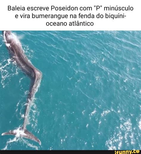 Baleias De Fenda