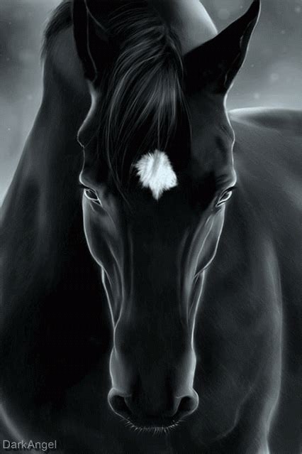 Black Beauty Blaze