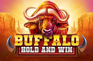 Buffalo Hold And Win Blaze