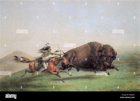 Buffalo Hunter Betfair