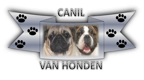 Canil Van Casinohof