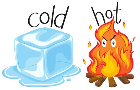 Cold Hot Betsul
