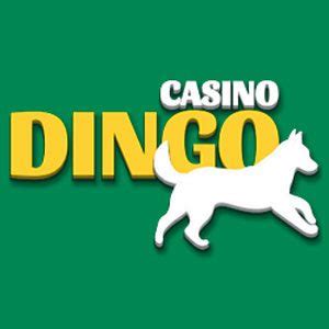 Dingo Casino