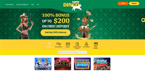 Dingo Casino Login