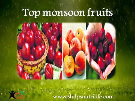 Fruit Monsoon Betsul
