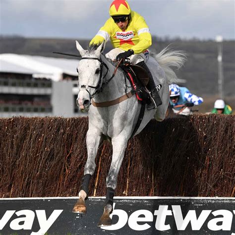 Horse Racing Betway