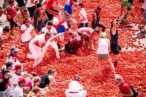 La Tomatina Review 2024