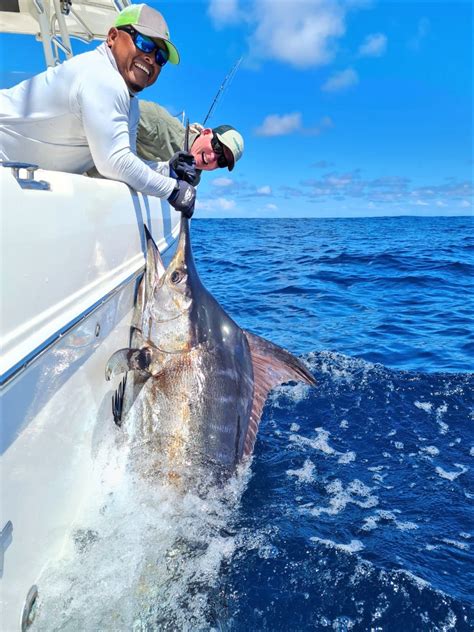 Marlin Catch Betano