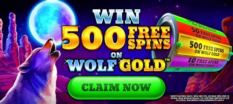 Mr  Wolf Slots Casino Review