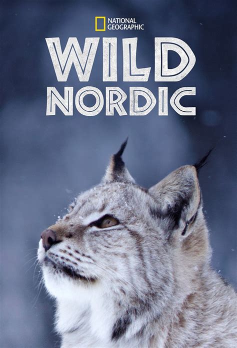 Nordic Wild Betfair