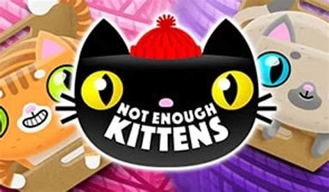 Not Enough Kittens Review 2024