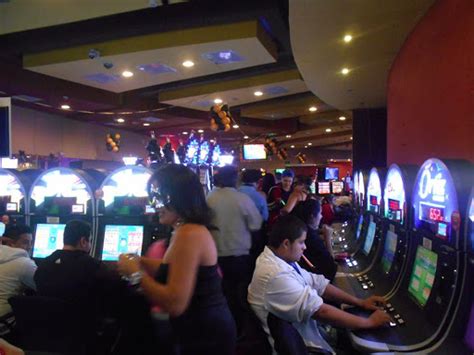 Shans Casino Guatemala