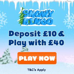 Snowy Bingo Casino Login