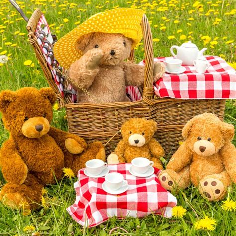 Teddy Bears Picnic Bodog