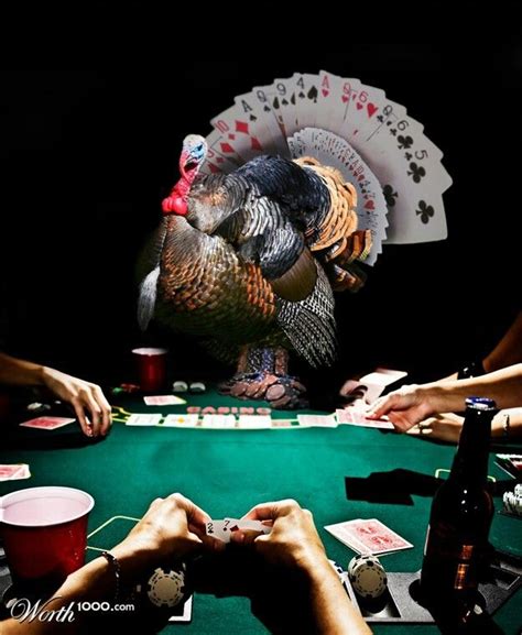 Turkeyneck39 Poker