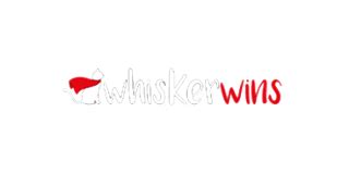 Whisker Wins Casino Venezuela