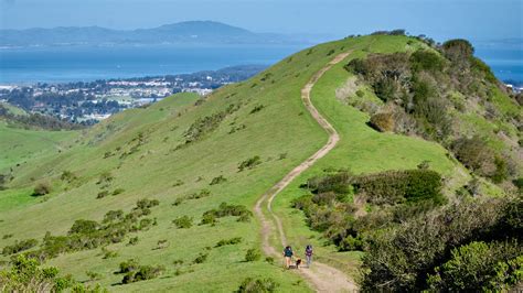 Wildcat Canyon Brabet